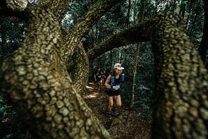 BIB: 
                            <button type="button" onclick="openModal(25701398)" class="btn btn-primary btn-sm float-right btn-popup" data-toggle="modal" data-target=".modal-high-quality">
                        <i class="fas fa-shopping-cart"></i> Add to Cart
                    </button>
                                            <button type="button" onclick="isThisMe(25701398, true)" class="btn btn-success btn-sm float-right btn-popup btn-isme hidden" data-toggle="tooltip" data-placement="bottom" title="นี่คือรูปของคุณใช่ไหม คลิกที่นี่เพื่อเอาเข้าอัลบั้ม">
                        <i class="fas fa-plus"></i> Add to album
                    </button>
                    <button type="button" onclick="isThisMe(25701398, false)" class="btn btn-warning btn-sm float-right btn-popup btn-isnotme hidden">
                        <i class="fas fa-ban"></i> Remove from album
                    </button>